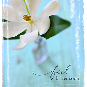 Get Well Greeting Card