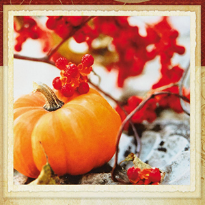 Thanksgiving Greeting Card